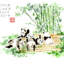 25_White panda